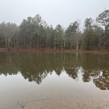 4665 Muddy Ridge Road, Pocohontas, TN